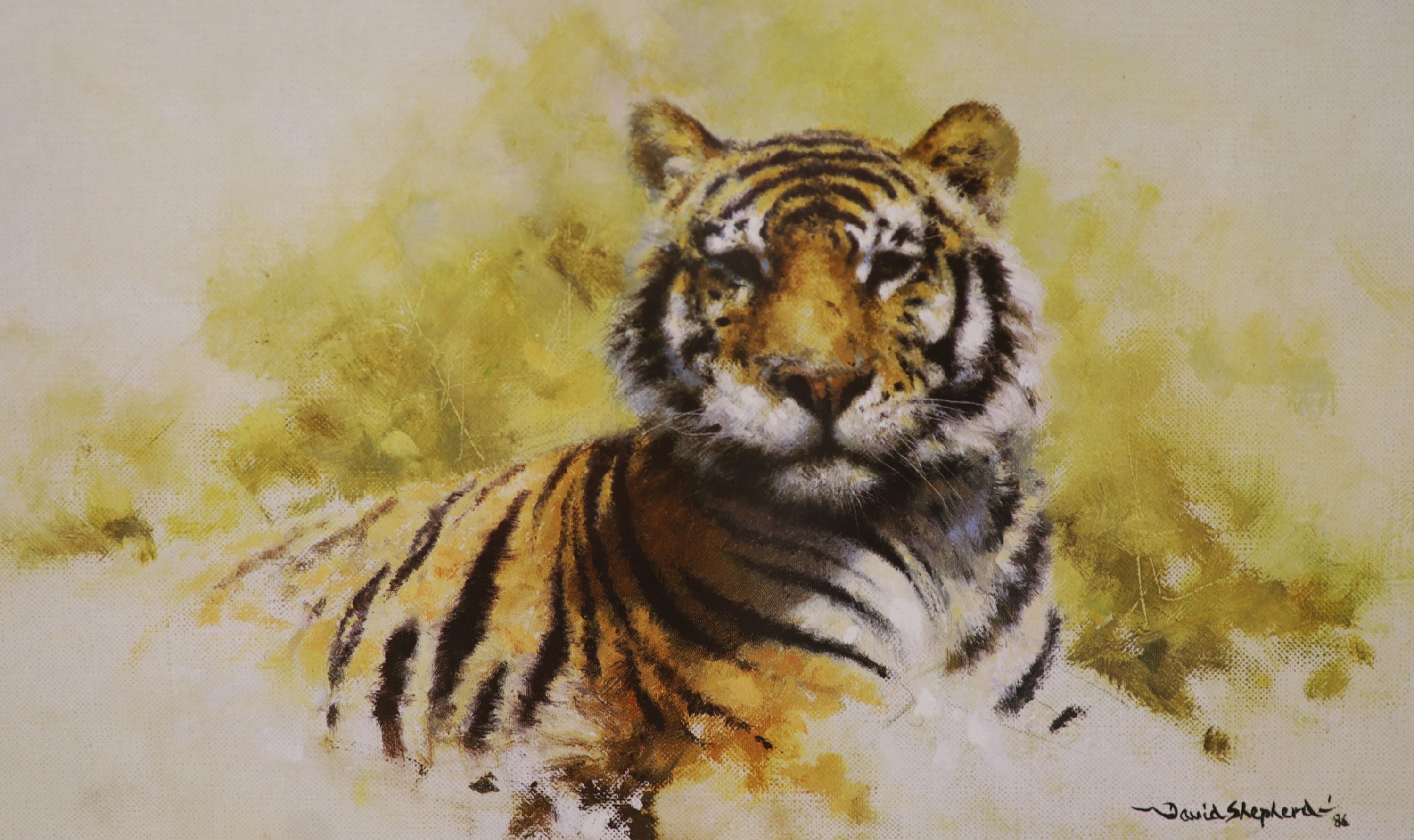 Three David Shepherd limited edition prints; Lion Sketch, Tiger Sketch and Rhino Reverie, signed in pencil and numbered, largest 29 x 44cm